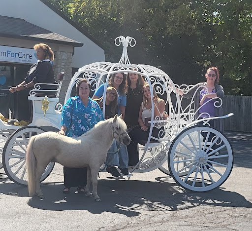 Equine Therapy for Seniors: Bringing Joy and Comfort Through Horses - South Indy | ComForCare - EquineSouthIndy