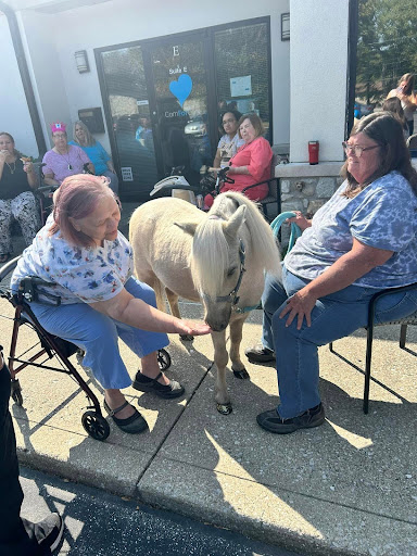 Equine Therapy for Seniors: Bringing Joy and Comfort Through Horses - South Indy | ComForCare - equinesouthindy2