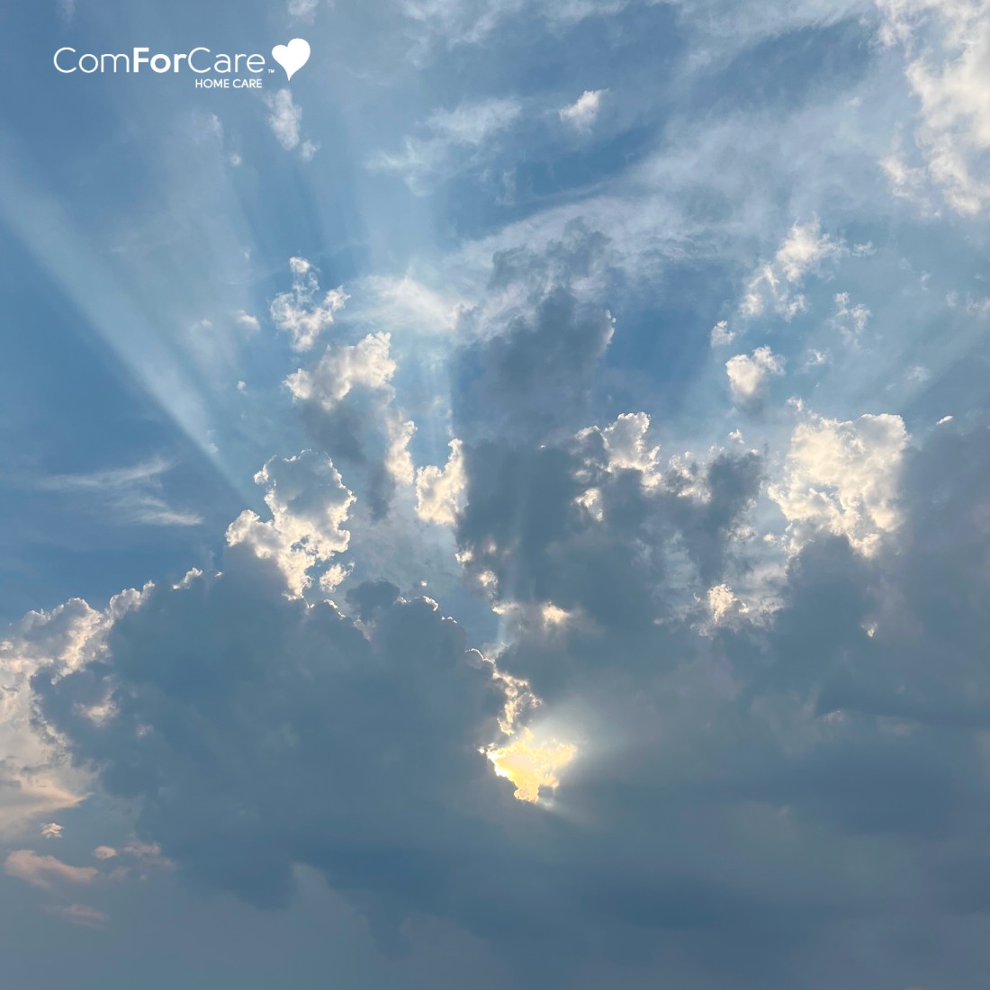 The Art of Connection - ComForCare Franchise Systems - the_time_is_now_blog_cover